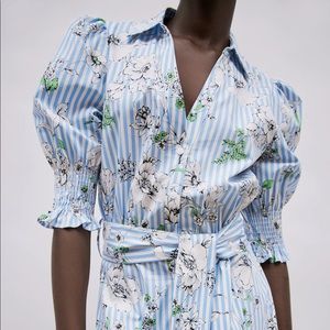 Zara dress